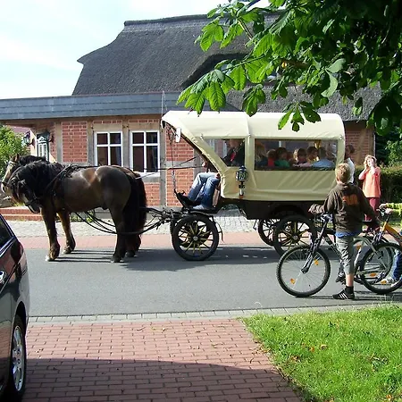 Гостевой дом Martens