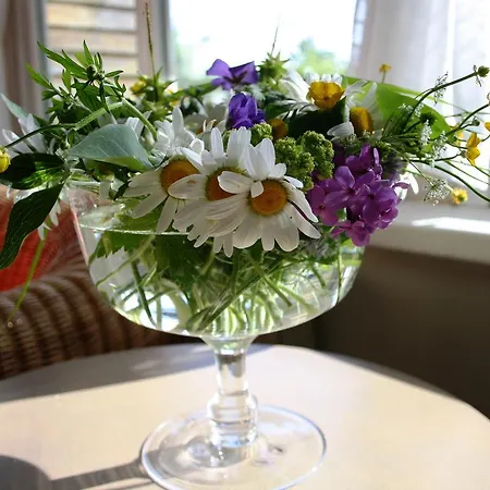 Гостевой дом Martens