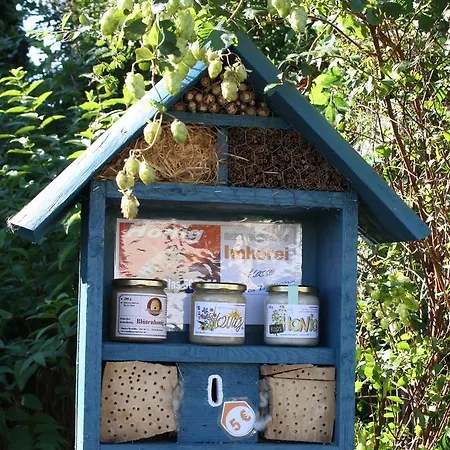 Casa de hóspedes Martens Bresewitz