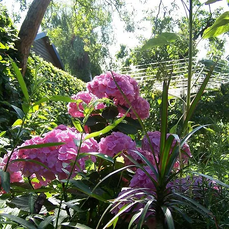 Гостевой дом Martens Bresewitz