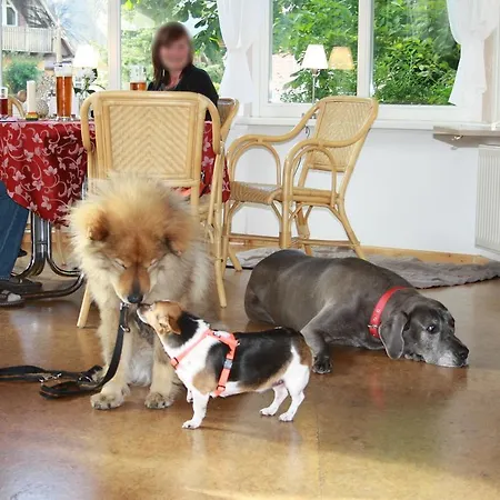 Гостевой дом Martens 3*