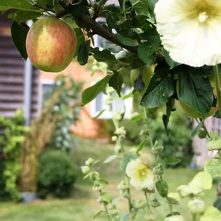 Konukevi Martens Bresewitz