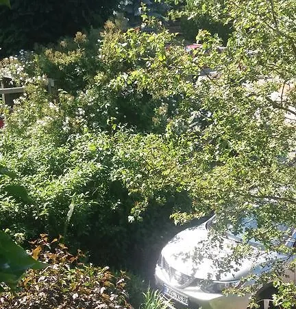 Martens 3* Bresewitz