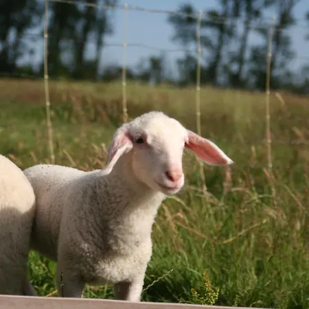 Martens 3* Bresewitz